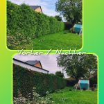 „Collage mit zwei Fotos eines Gartens: oben eine ungeschnittene, Thuja hecke, unten dieselbe Hecke nach dem Formschnitt. Text im Bild: ‚Vorher / Nachher‘.“