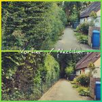 „Collage mit zwei Fotos eines Gartens: Oben eine ungeschnittene, hohe Hecke bzw. mehrere Sträucher, rechts dieselbe Hecke nach dem Formschnitt so das man einen Zaun wieder sieht. Text im Bild: ‚Vorher / Nachher‘.“
