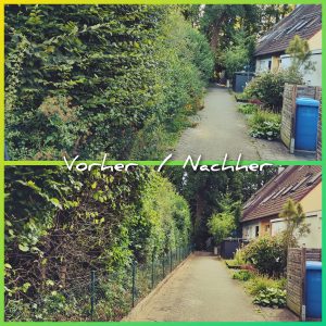 „Collage mit zwei Fotos eines Gartens: Oben eine ungeschnittene, hohe Hecke bzw. mehrere Sträucher, rechts dieselbe Hecke nach dem Formschnitt so das man einen Zaun wieder sieht. Text im Bild: ‚Vorher / Nachher‘.“