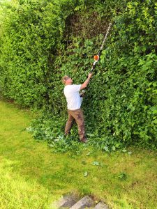 Ein Foto vom Inhaber mit einer Heckenschere beim Schneiden einer Hecke.