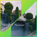 „Collage mit zwei Fotos eines Gartens: Links eine ungeschnittene, hohe Konifere, rechts dieselbe Konifere nach dem Formschnitt in mehreren runden Etagen. Text im Bild: ‚Vorher / Nachher‘.“
